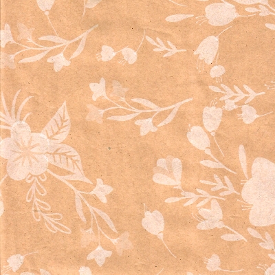 PAPEL DE REGALO KRAFT PRIMAVERA BLANCO